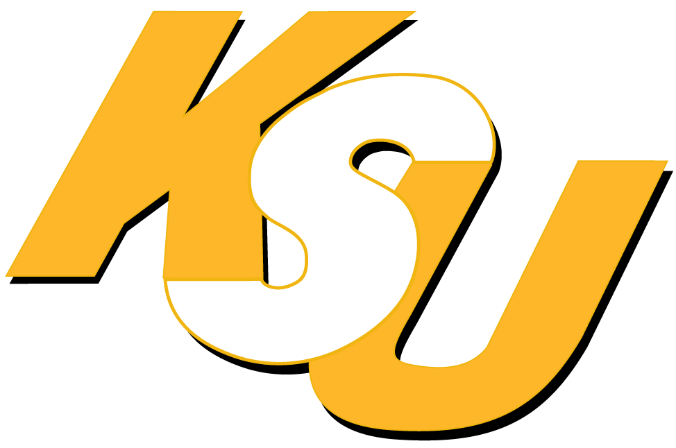 Kennesaw State Owls 0-2011 Wordmark Logo v2 diy DTF decal sticker